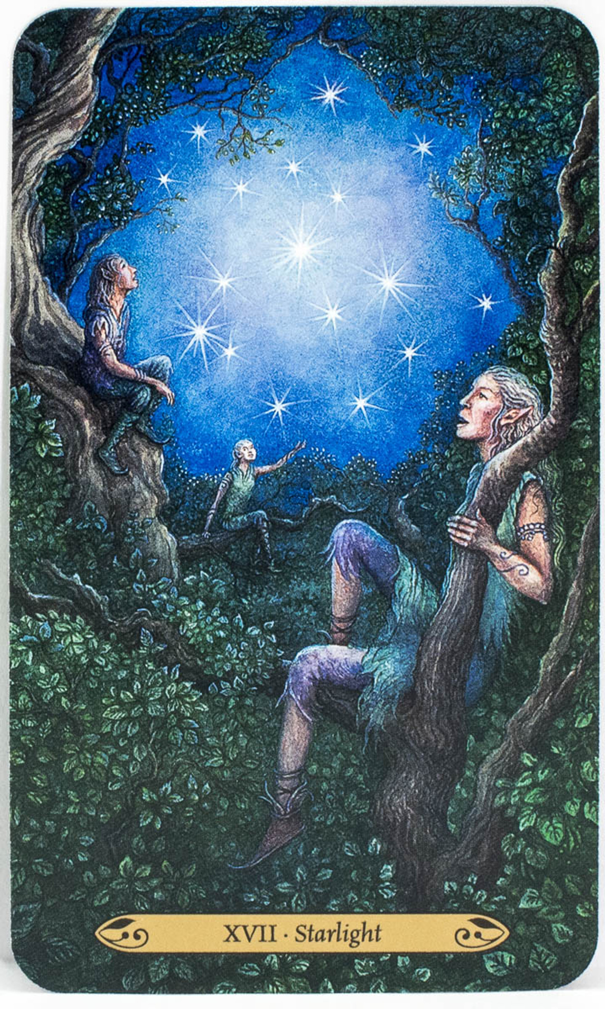 Forest of Enchantment Tarot Cards