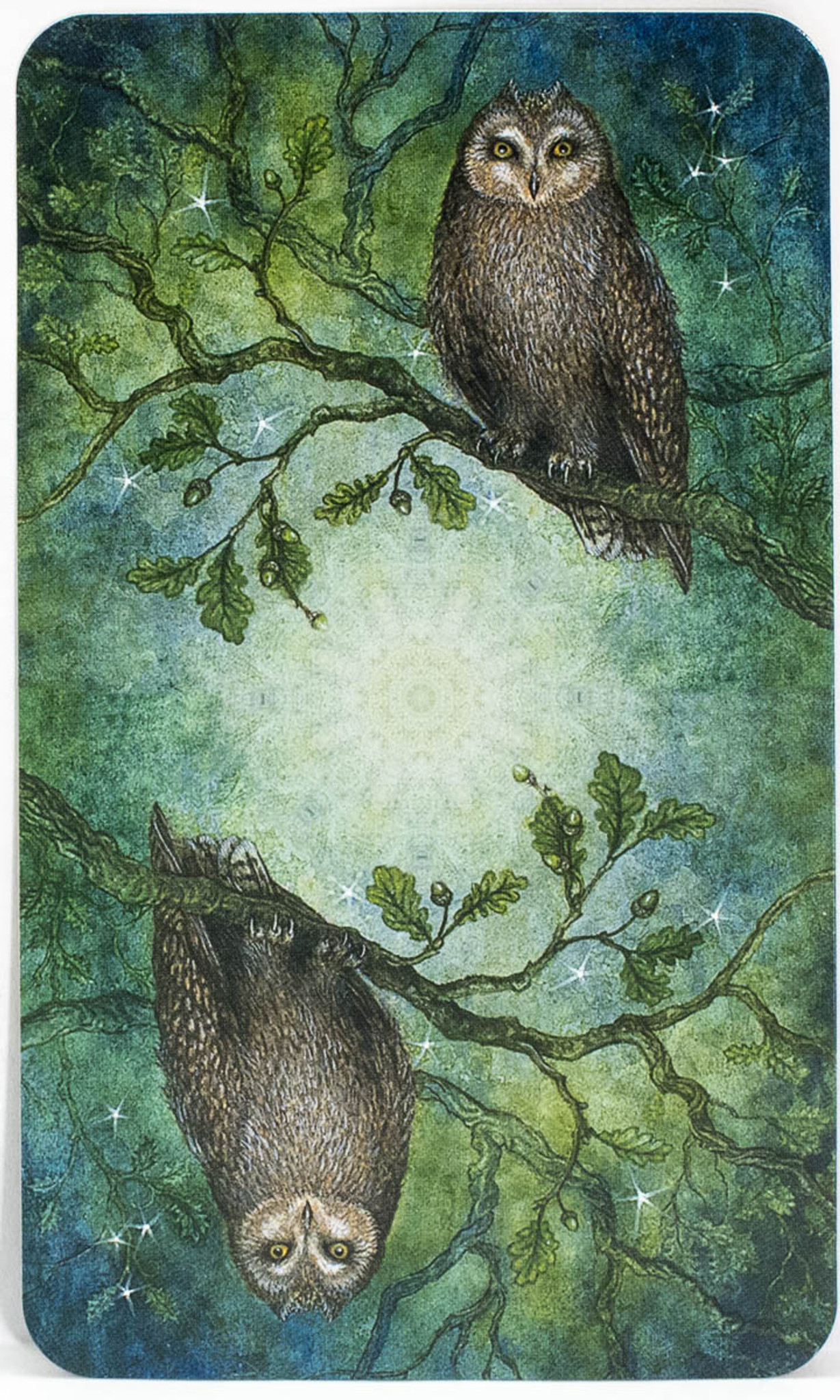 Forest of Enchantment Tarot Cards