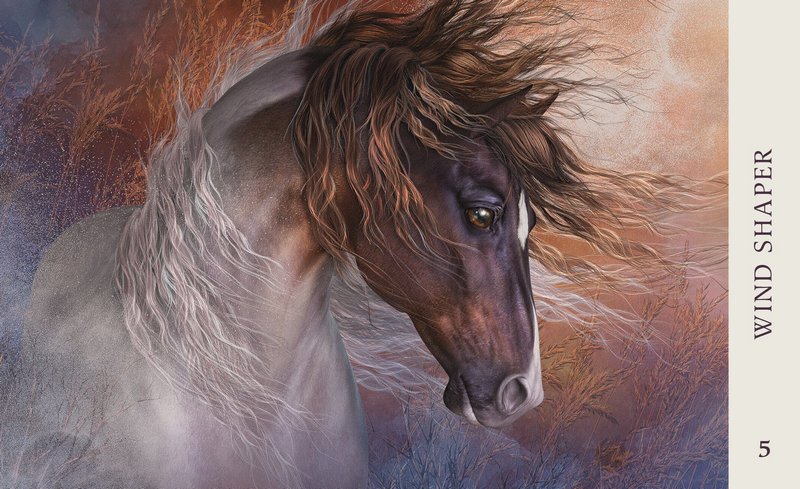 Horse Wisdom Oracle Cards