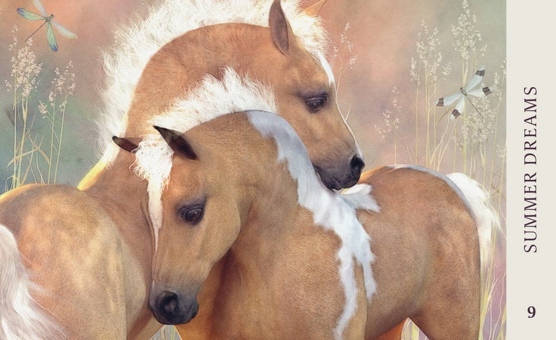 Horse Wisdom Oracle Cards