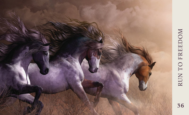 Horse Wisdom Oracle Cards