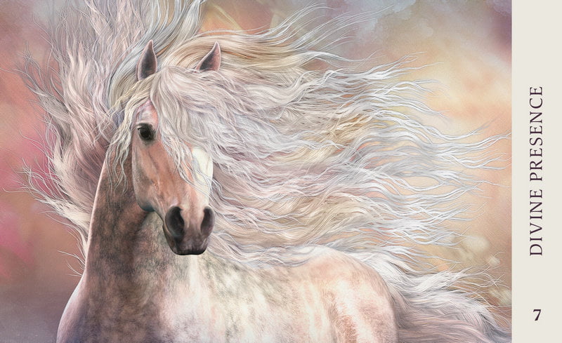 Horse Wisdom Oracle Cards