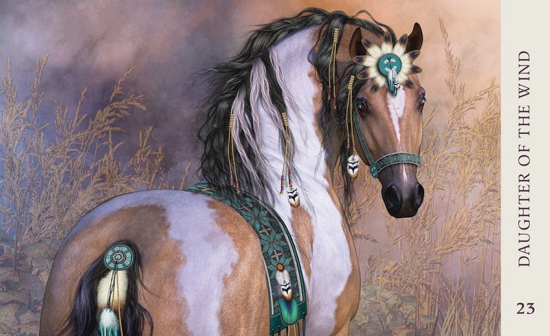 Horse Wisdom Oracle Cards
