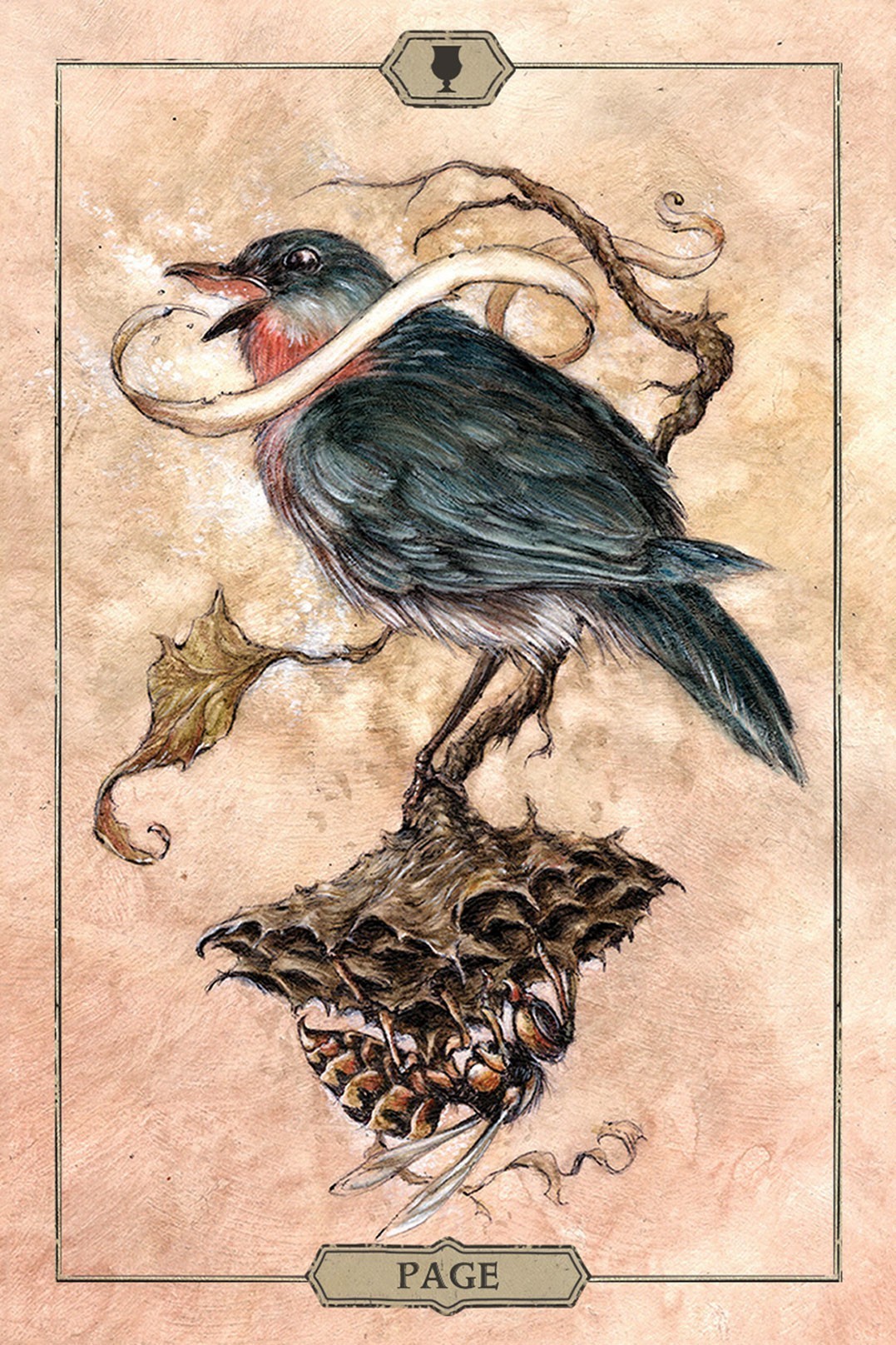 Hush Tarot Cards
