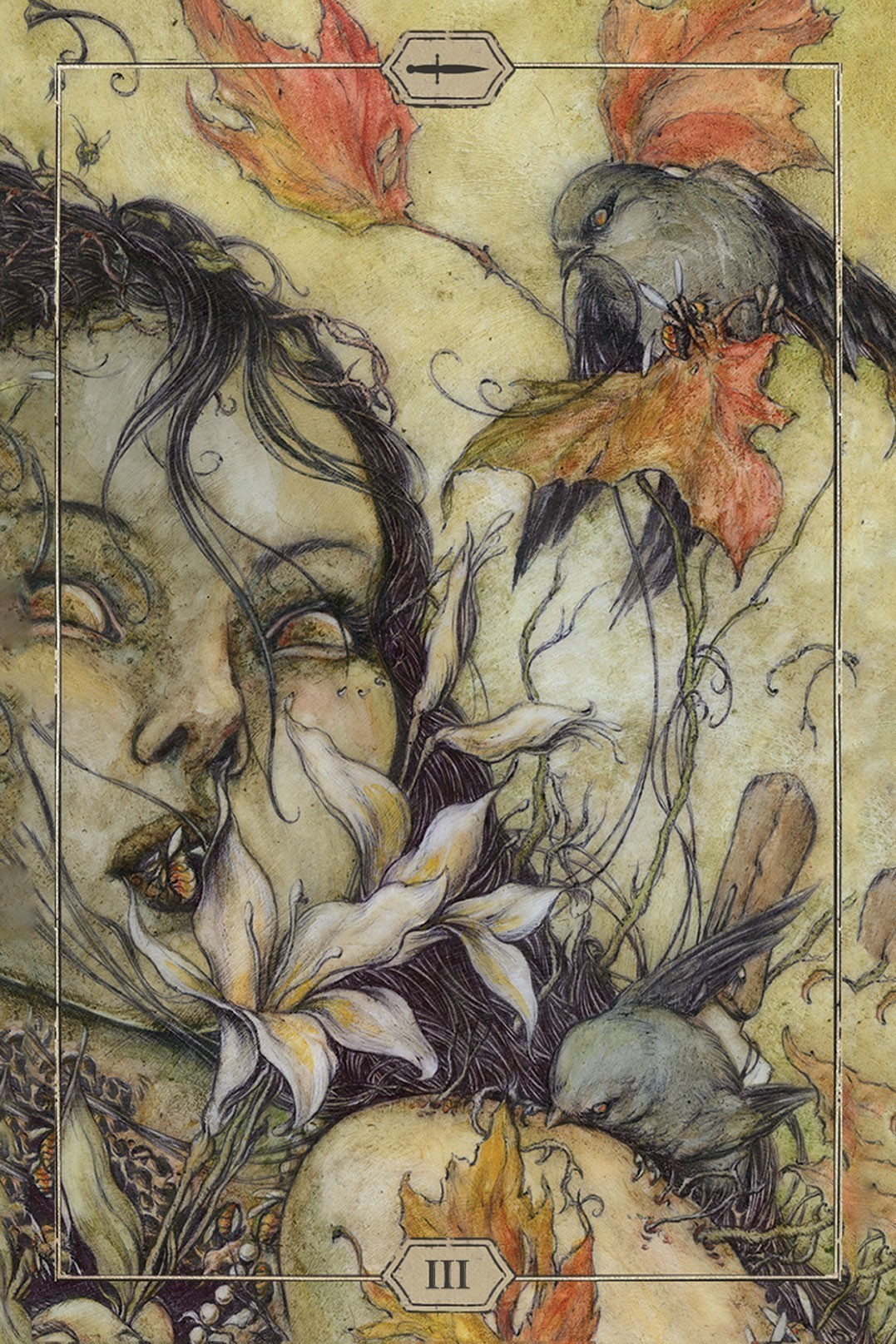 Hush Tarot Cards