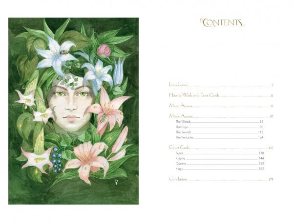Insight Tarot Cards