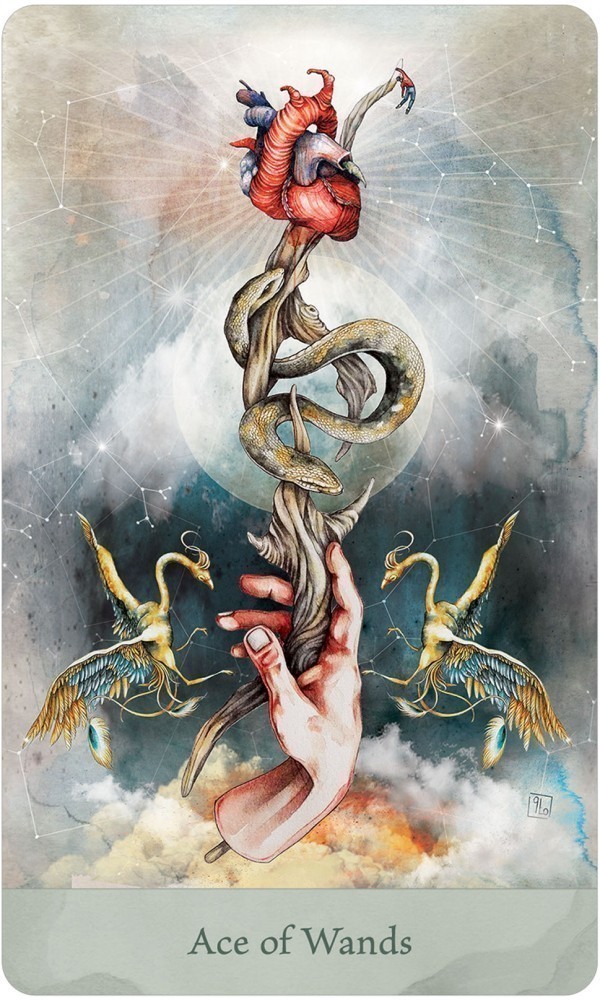 Lorenzi Tarot Cards