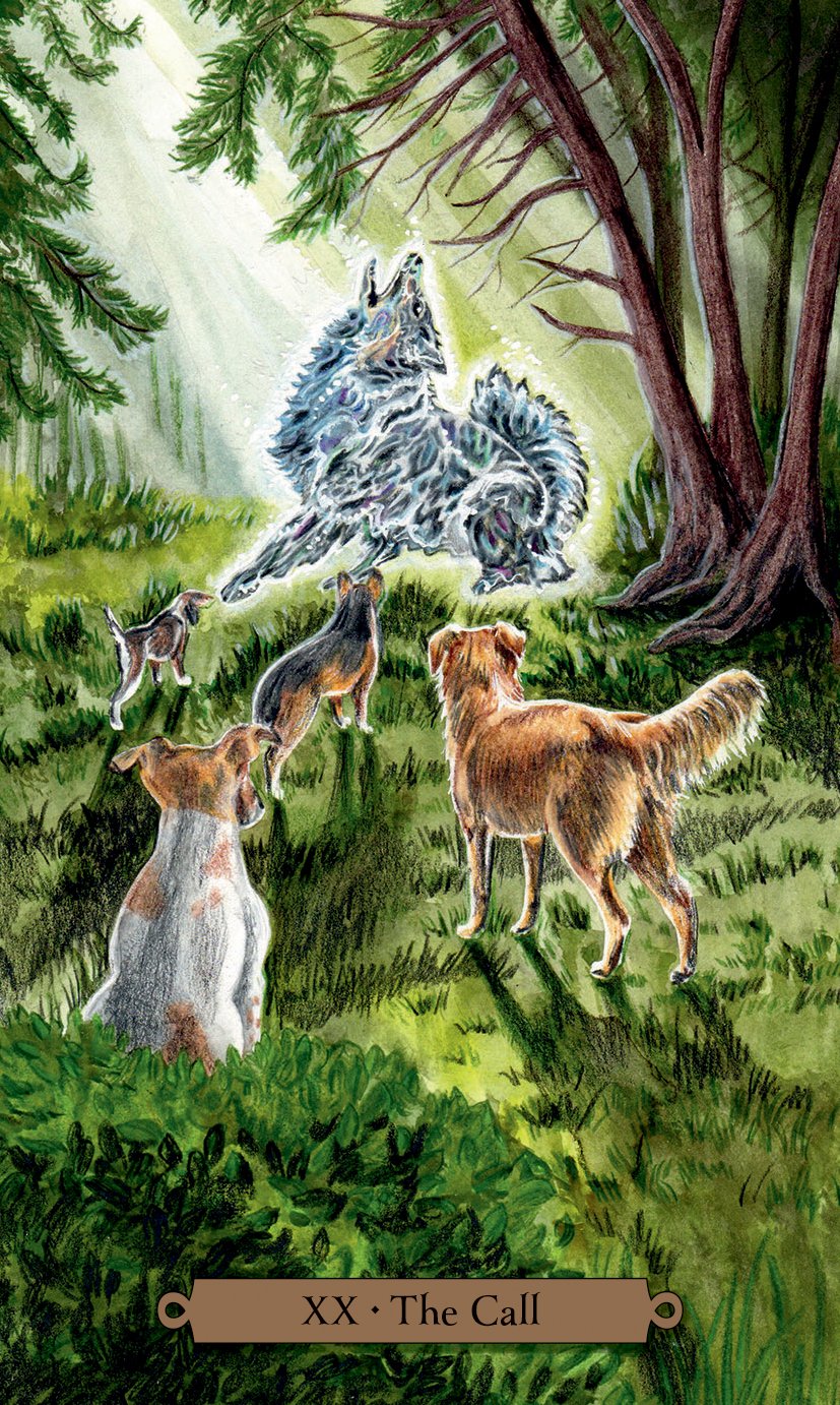 Magical Dogs Tarot Cards