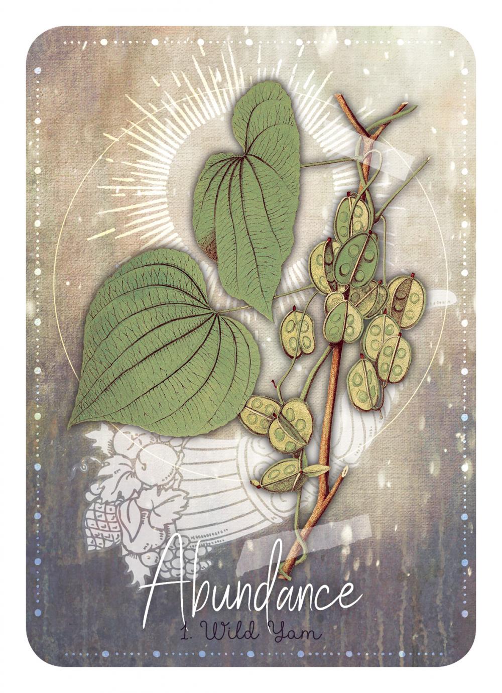 Magickal Herb Oracle Cards