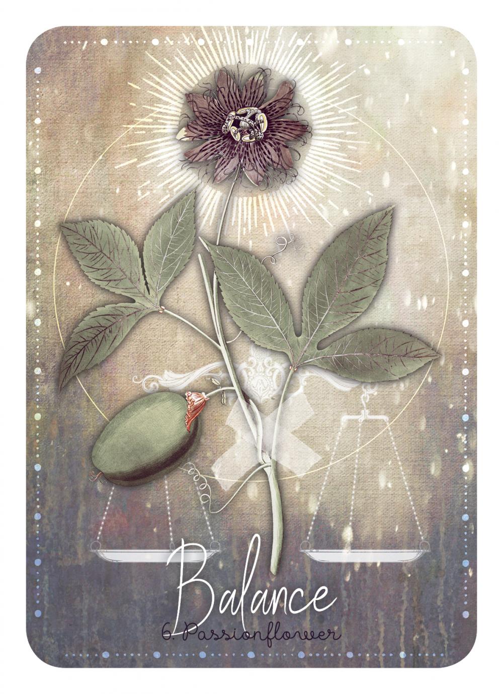 Magickal Herb Oracle Cards