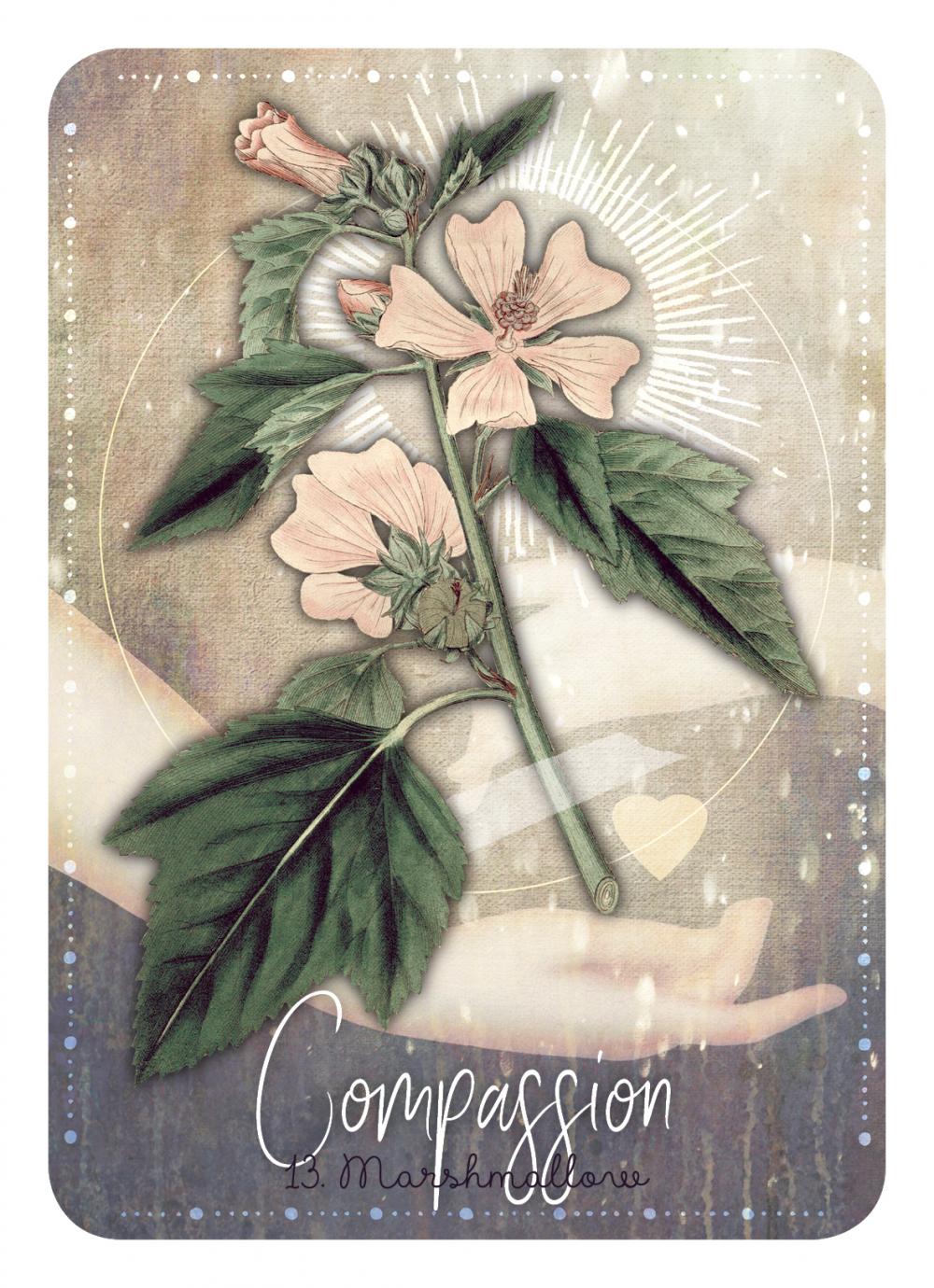 Magickal Herb Oracle Cards