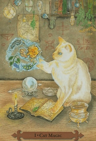 Mystical Cats Tarot Cards