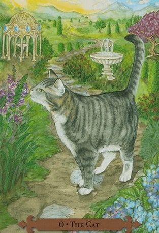 Mystical Cats Tarot Cards