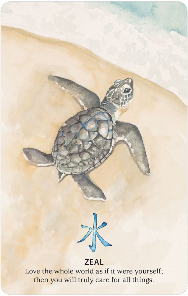 Nature Quest Oracle Cards