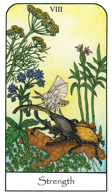 Nature Spirit Tarot Cards