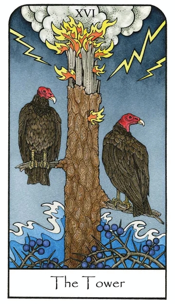 Nature Spirit Tarot Cards