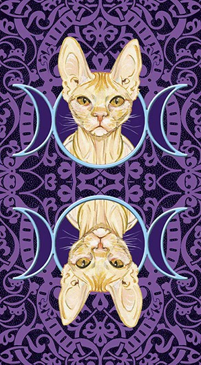 Tarot of the Pagan Cats