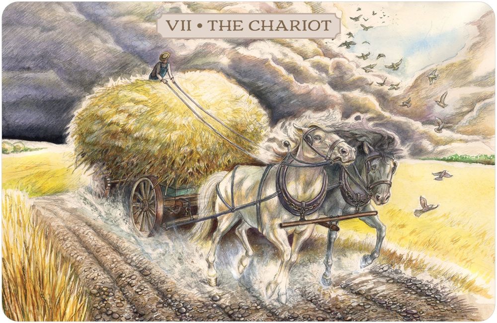 Pastoral Tarot Cards