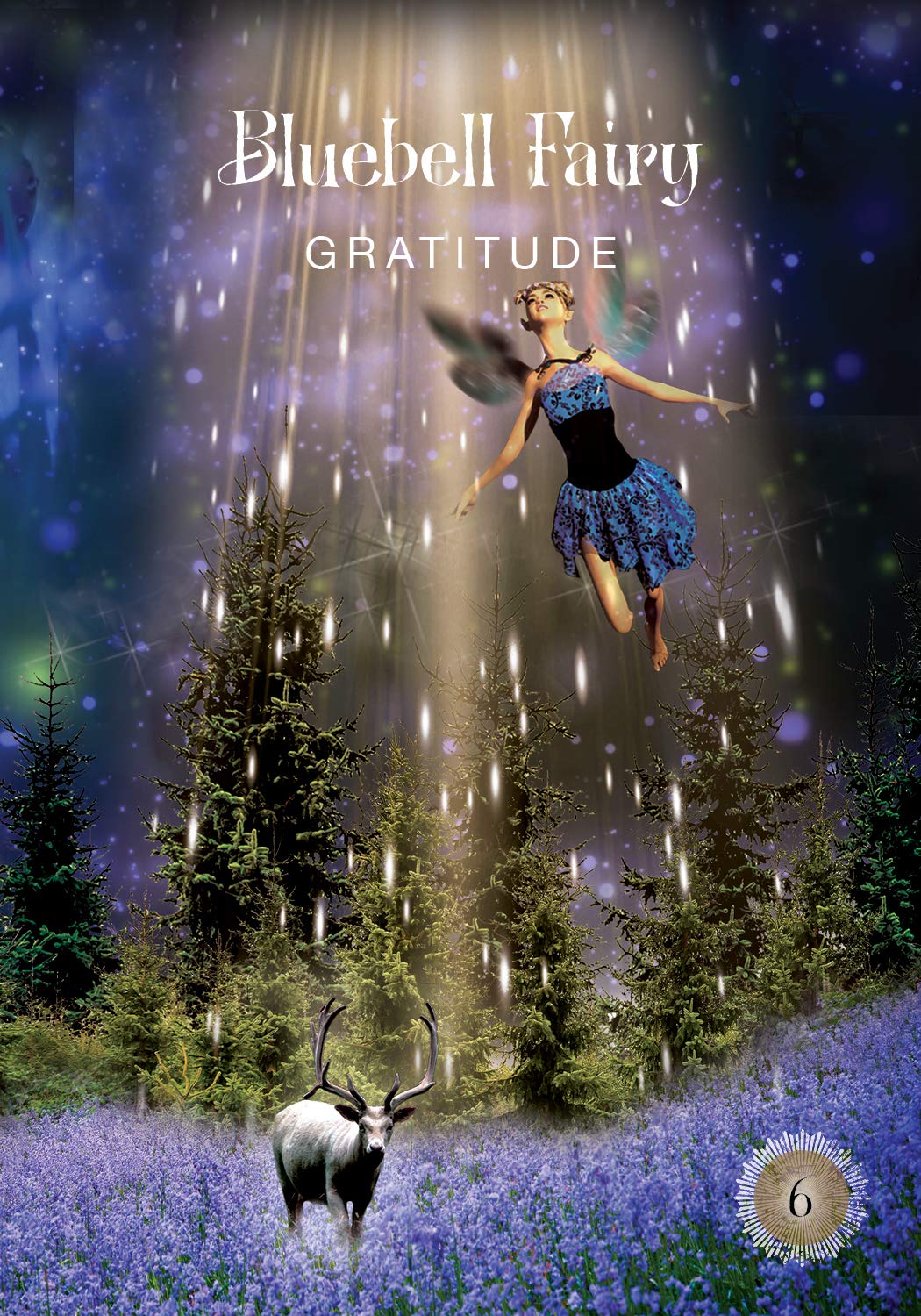 The Sacred Forest Oracle Cards
