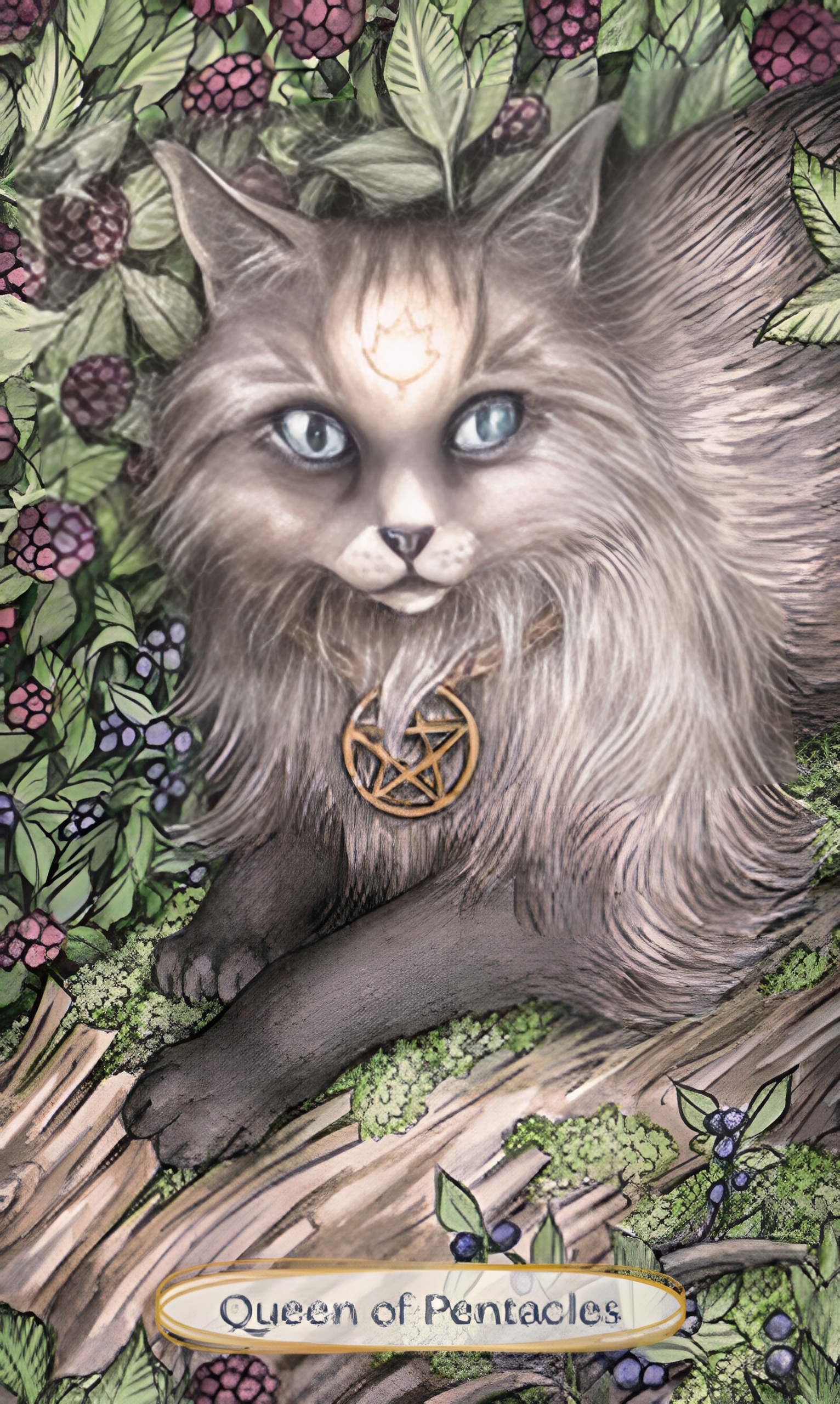 Soul Cats Tarot Cards