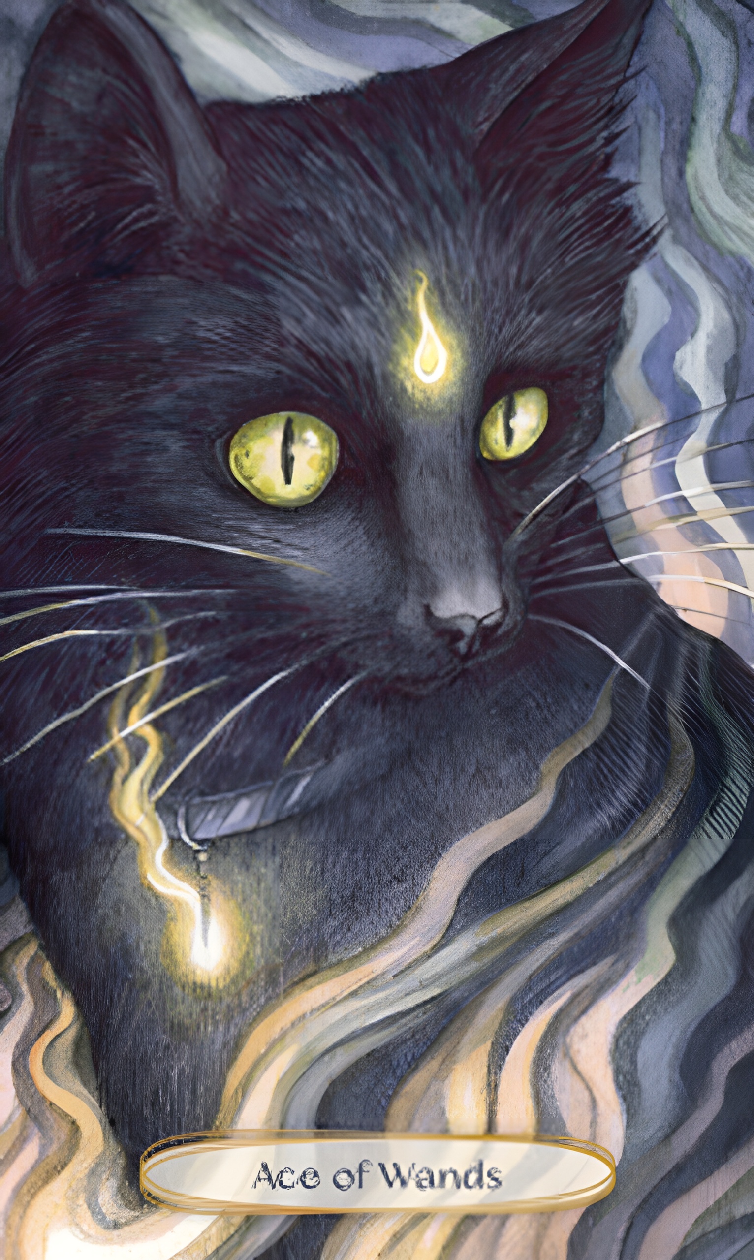 Soul Cats Tarot Cards