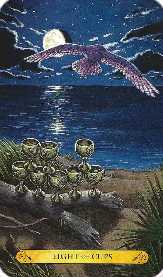Tarot of the Owls Cards