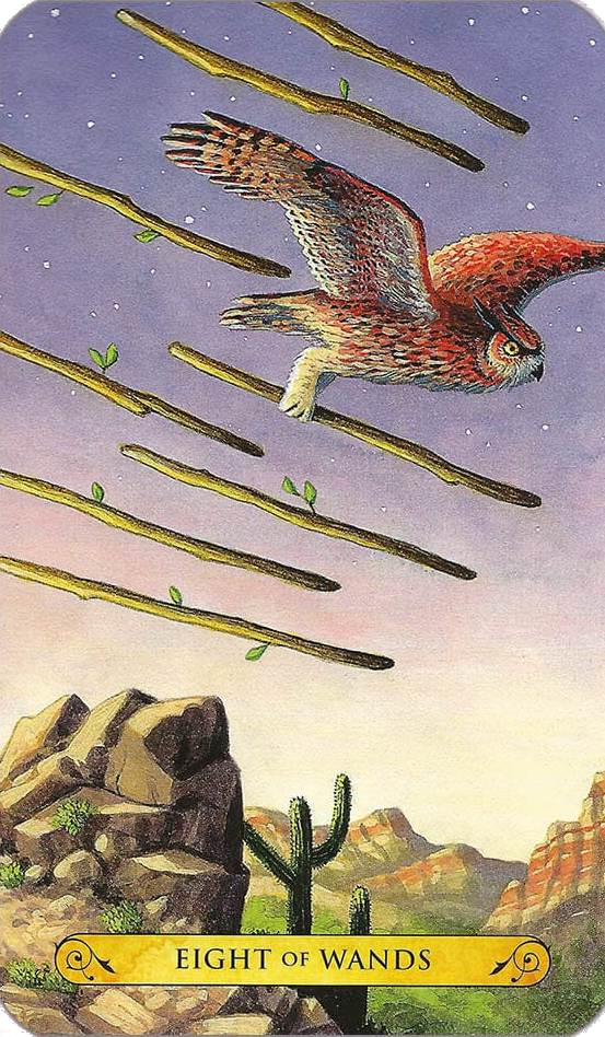 Tarot of the Owls Cards