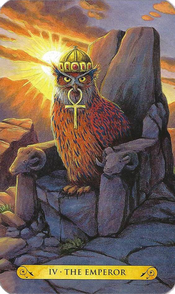 Tarot of the Owls Cards