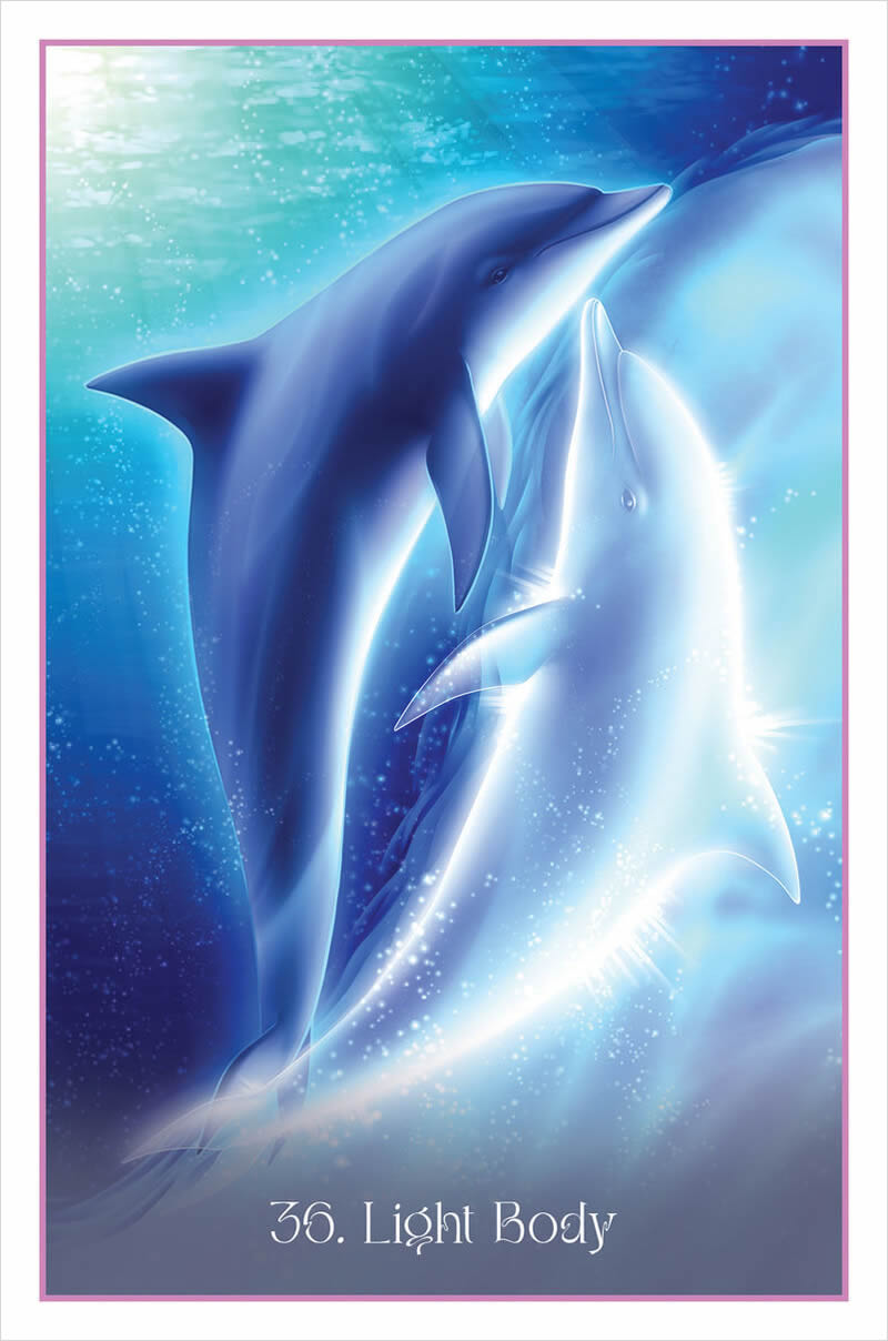 Whispers of the Dolphin Heart Cards