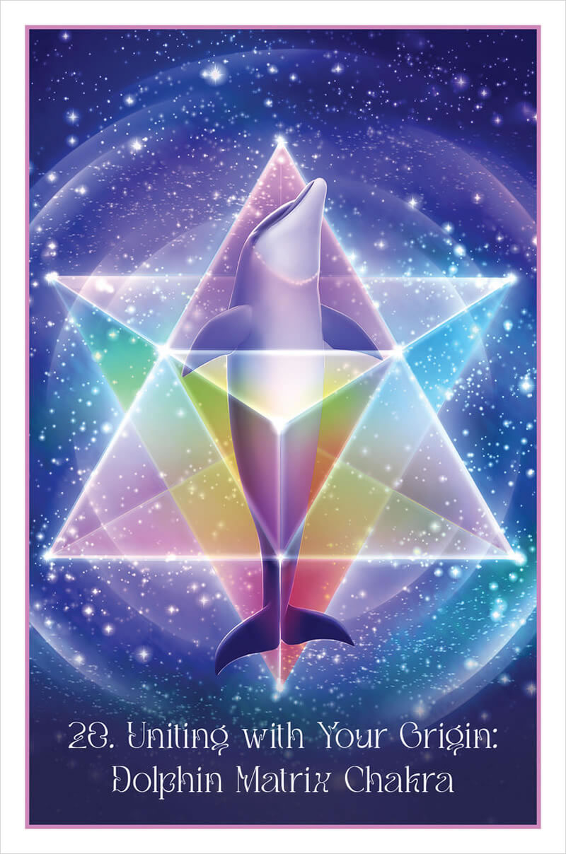 Whispers of the Dolphin Heart Cards