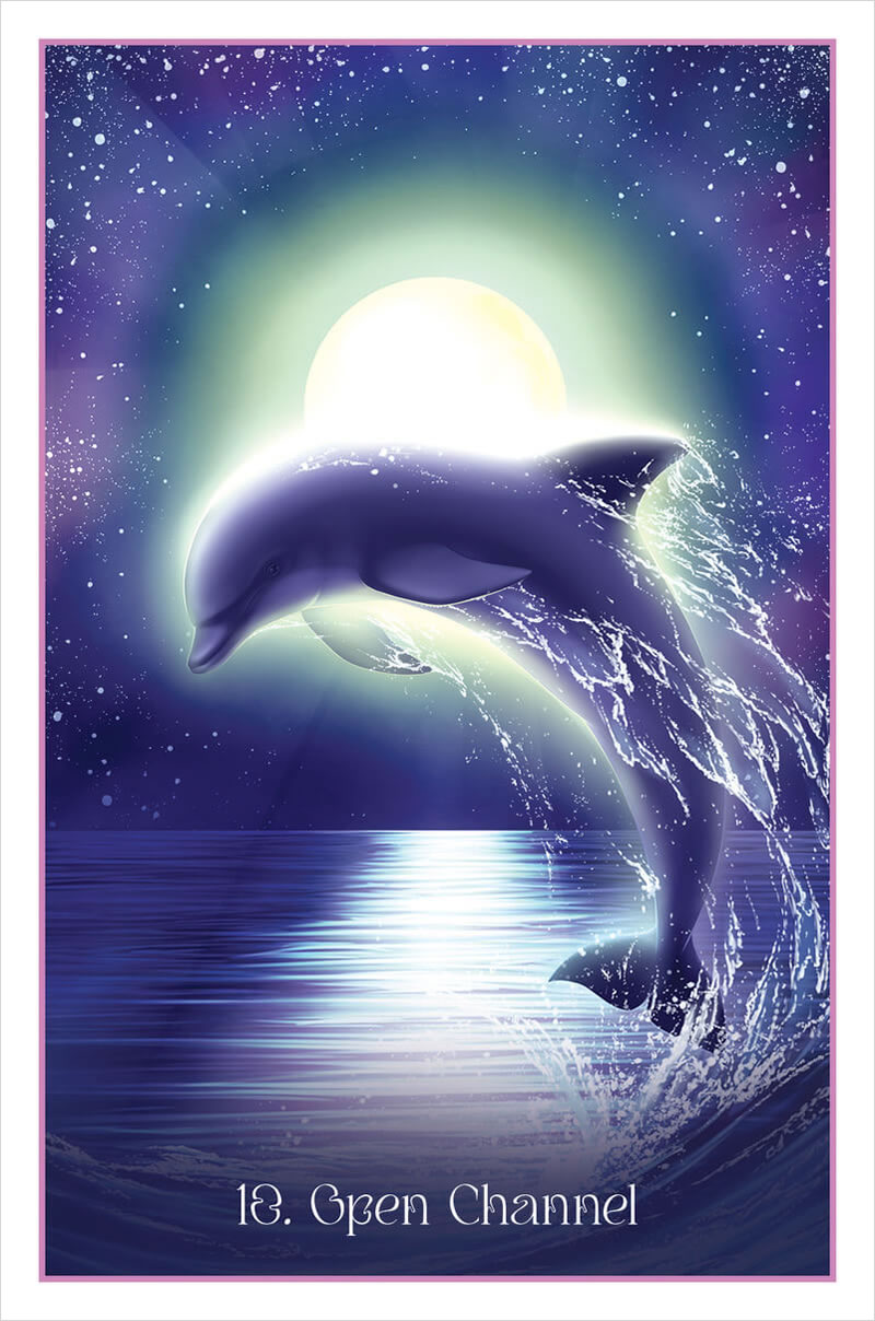 Whispers of the Dolphin Heart Cards