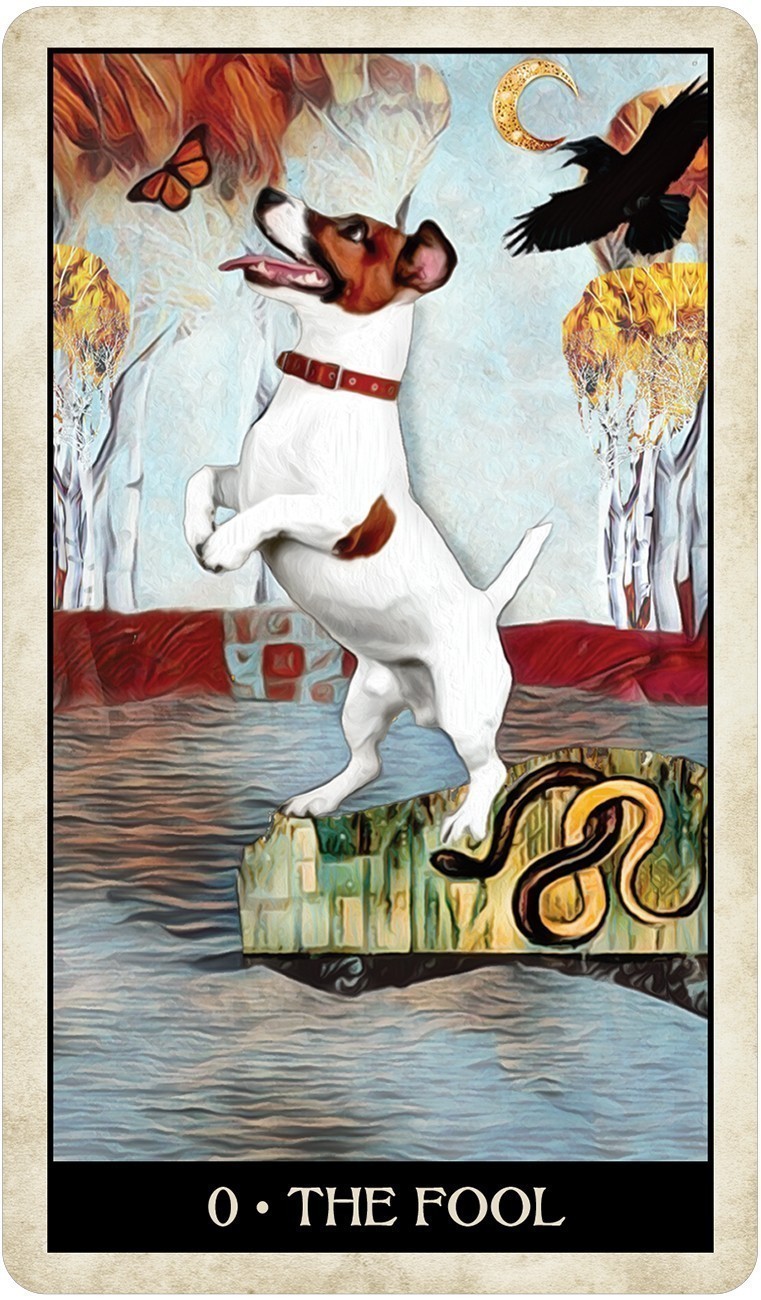 Wise Dog Tarot Cards
