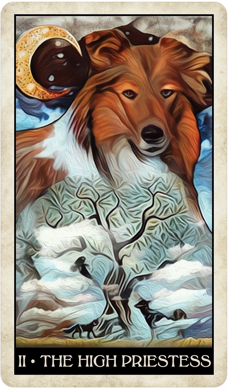 Wise Dog Tarot Cards