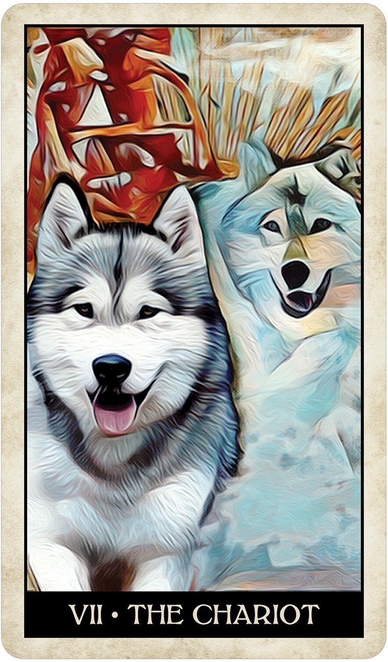 Wise Dog Tarot Cards