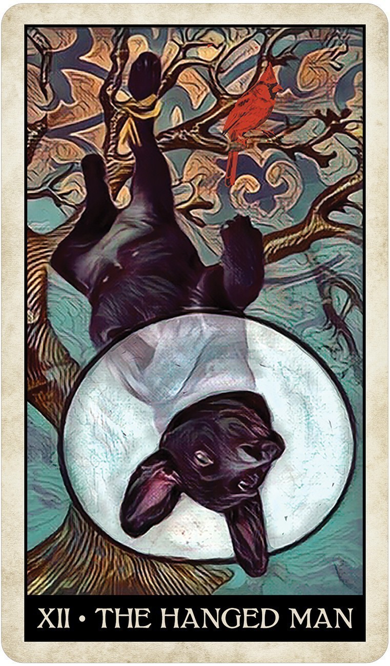Wise Dog Tarot Cards