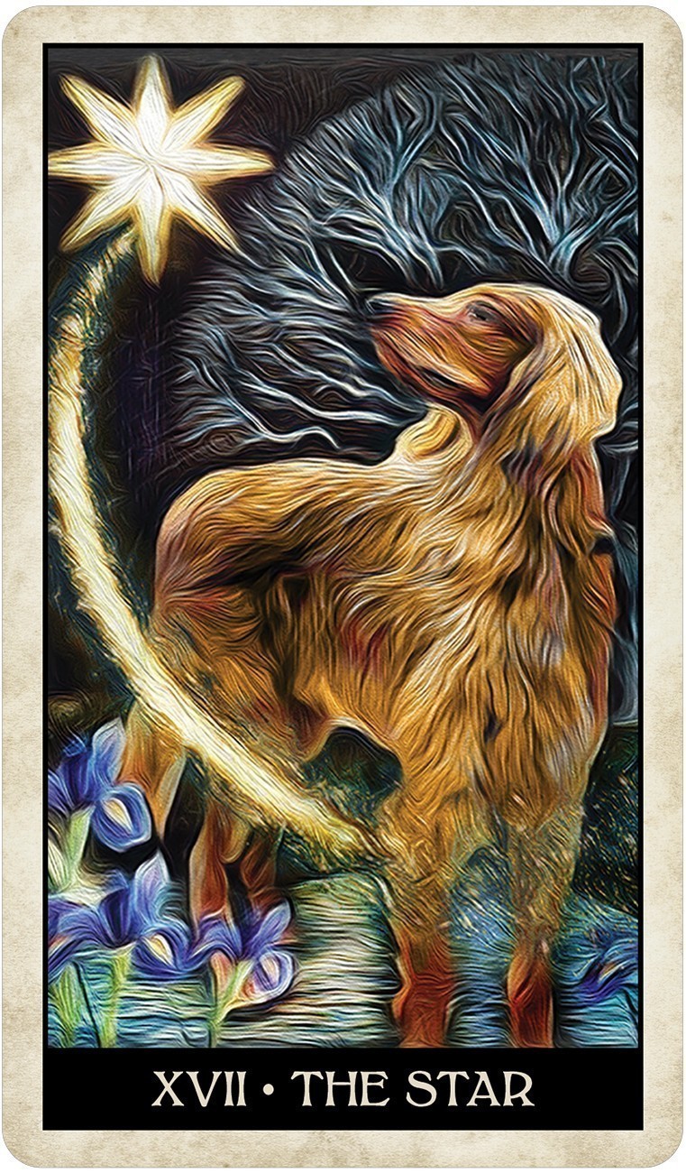 Wise Dog Tarot Cards