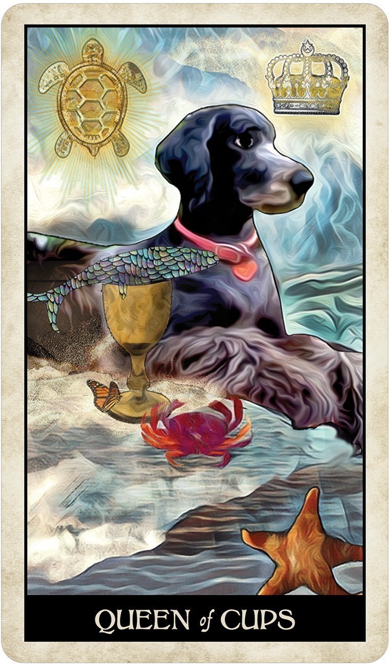Wise Dog Tarot Cards