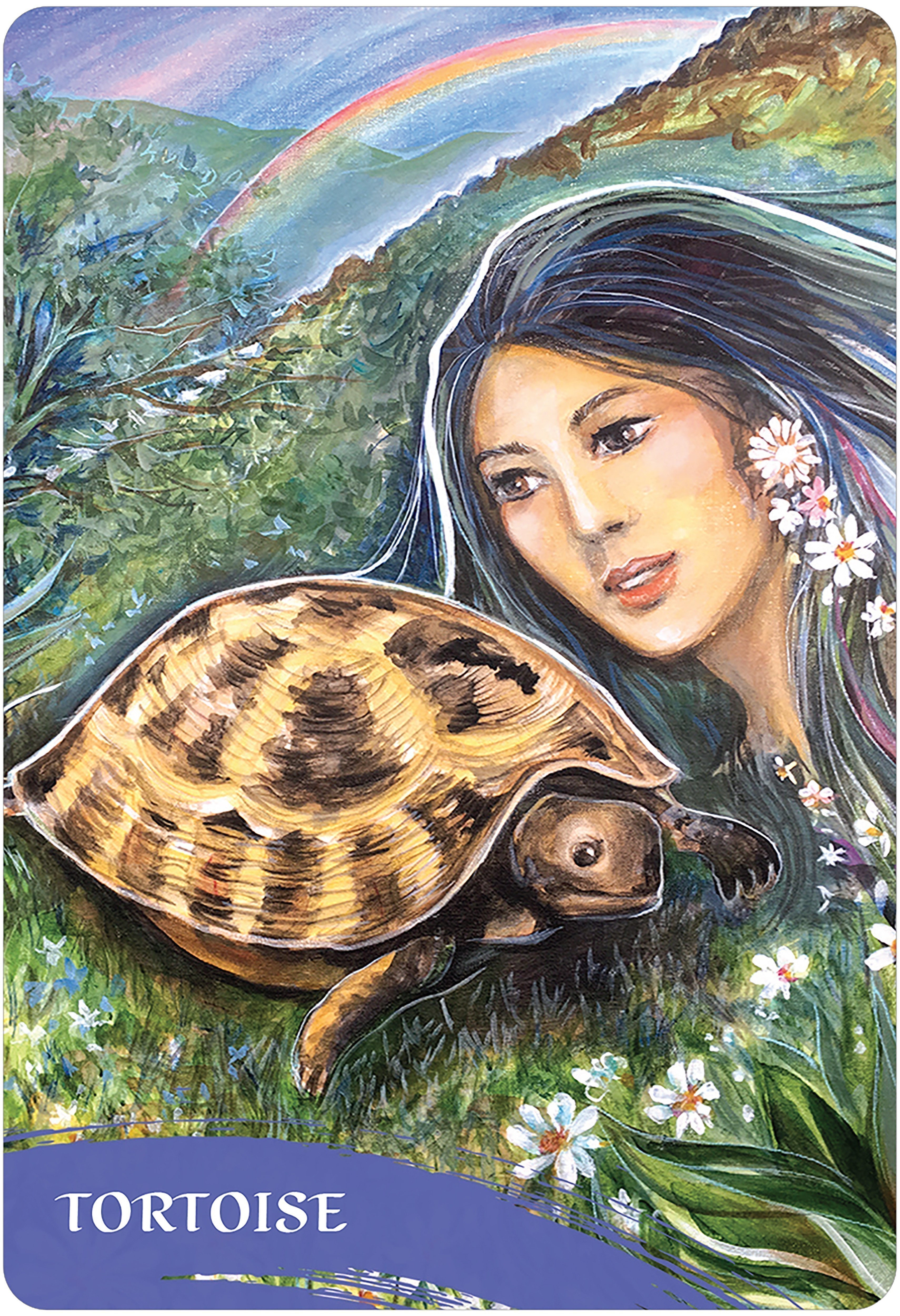 The Zen of Animals Oracle Cards